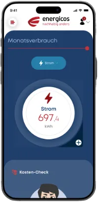 EnergyPilot — Monatsverbrauch Strom 697 kWh